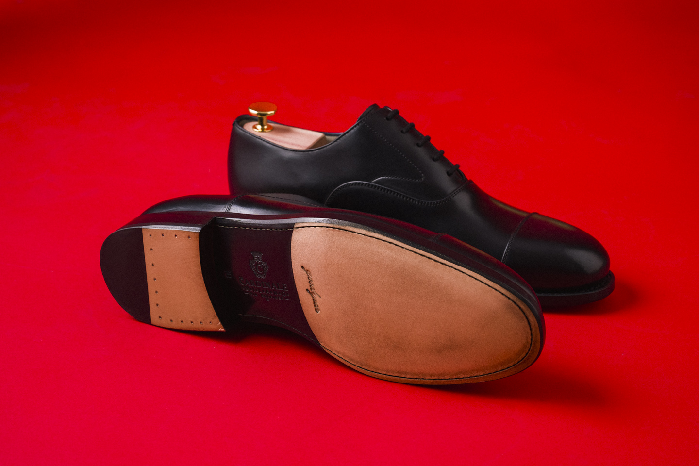 CARDINALE_20241211_NATALE_2024_2x3_WEB-0174